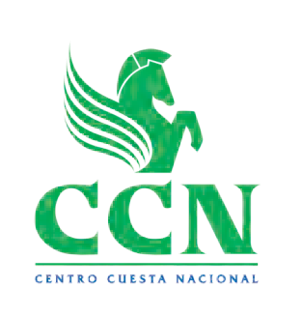 CCN
